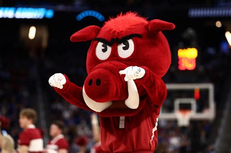 Arkansas basketball mascot